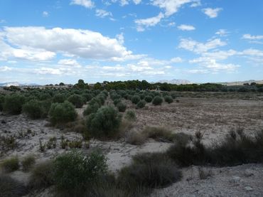 Terreno rustico in vendita a Los Valientes