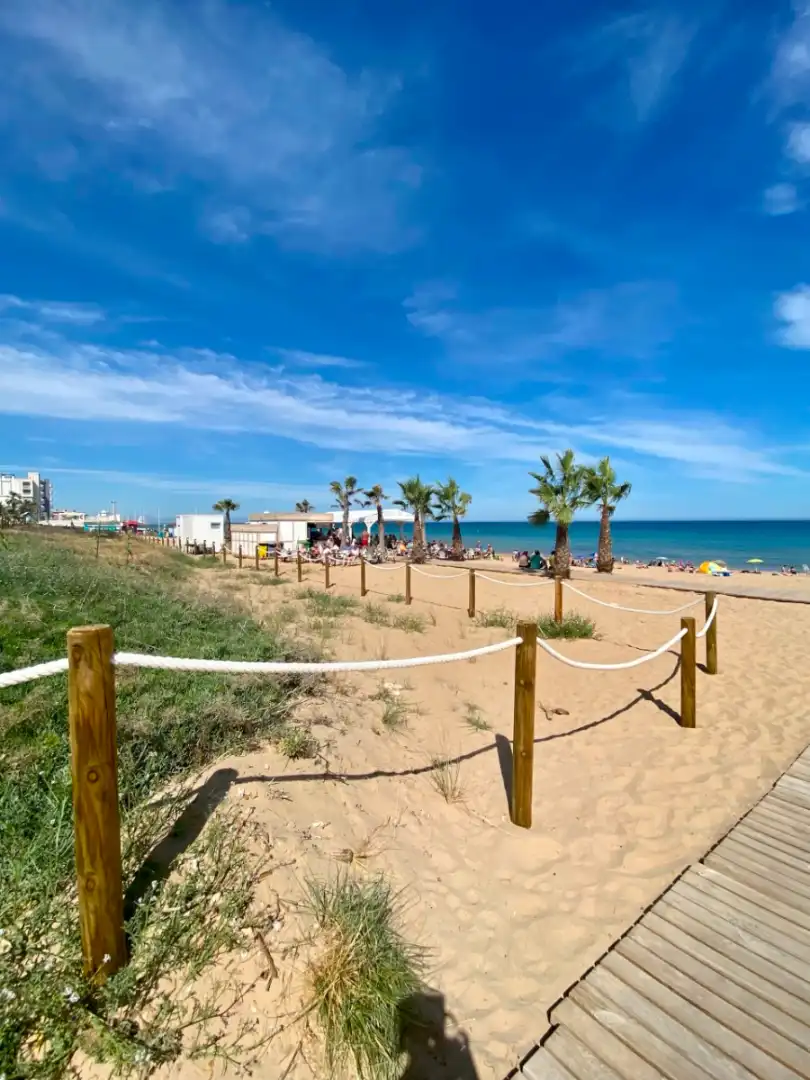 Exterior view of Study for sale in Torrevieja  with Parquet flooring, Furnished and Alarm