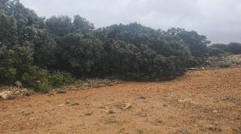 Foto 4 de Terreno en venta en Casas de Lázaro, Albacete