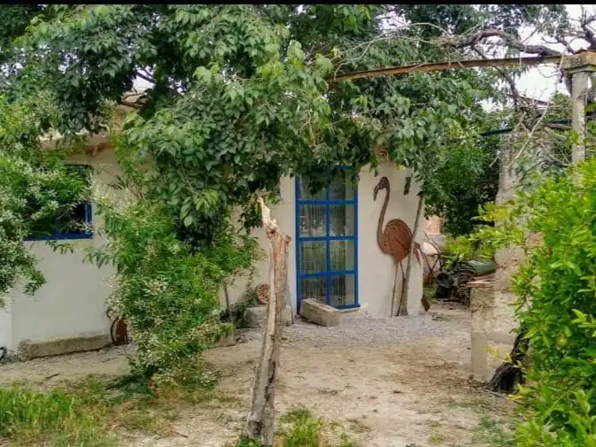 Terrain rustique à vendre à Es Fossar 160