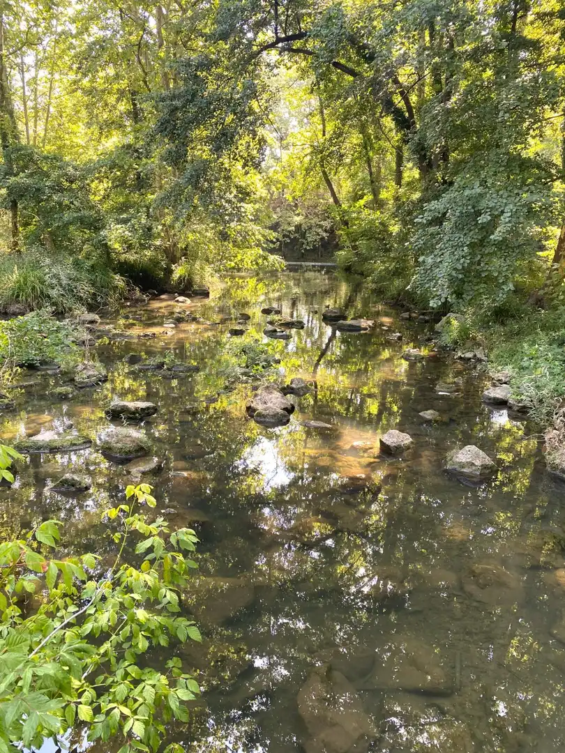 Vista exterior de Finca rústica en venda en Olot