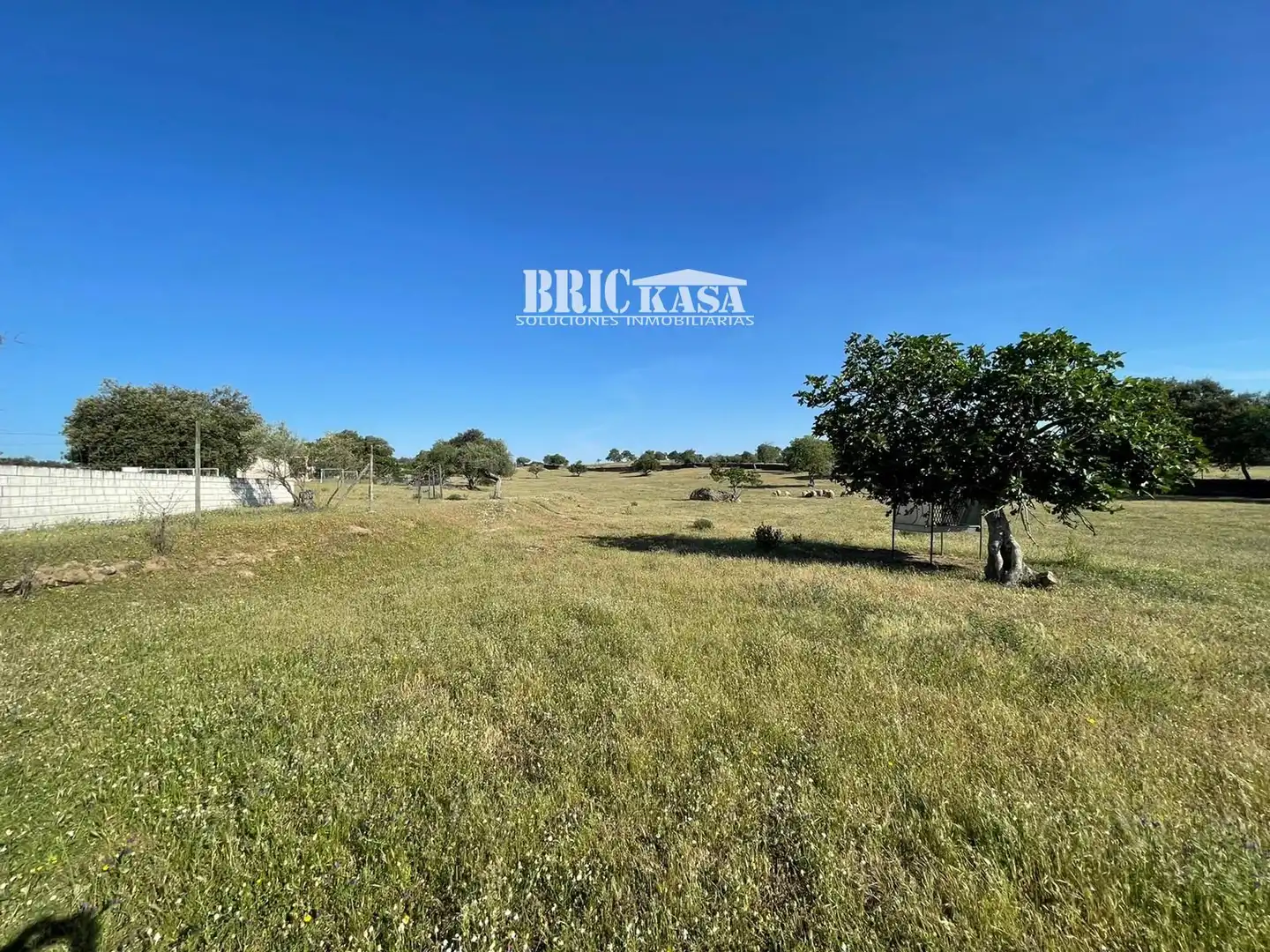 Casa o chalet en venta en Arroyo de la Luz con Terraza, Trastero y Piscina