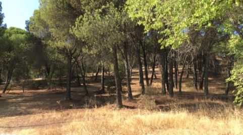 VENTA DE TERRENO URBANO NO CONSOLIDADO EN MINAS DE RIOTINTO, HUELVA, immagine 5