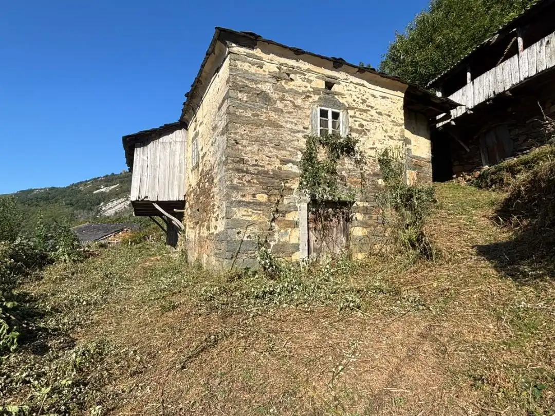 Exterior view of Houses for sale in Allande, Asturias