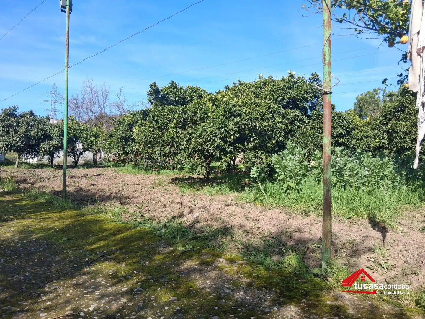 Finca rústica en venda en Córdoba