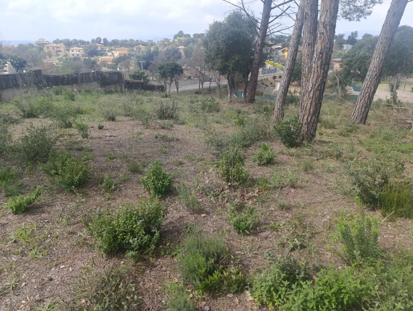 Residential land for sale in Sils, imagen 8