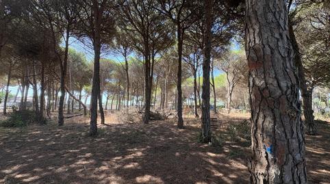 Foto 3 de Terreno en venta en Las Lagunas - Campano, Cádiz