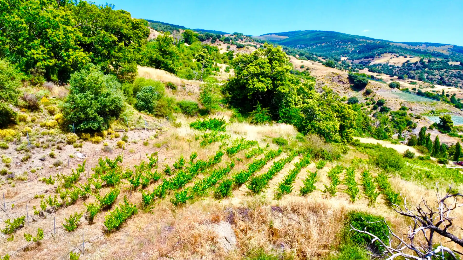 Terreni e lotti in vendita a Alpujarra de la Sierra, imagen 43