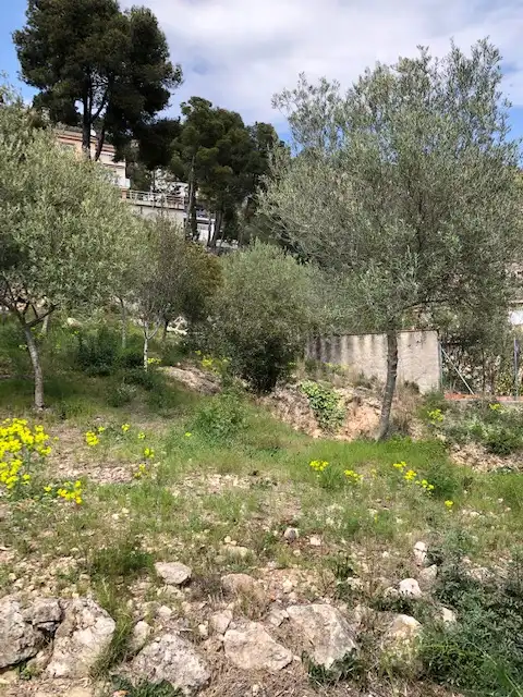 Casa o xalet en venda en La Palma de Cervelló amb Aire condicionat, Calefacció i Jardí privat