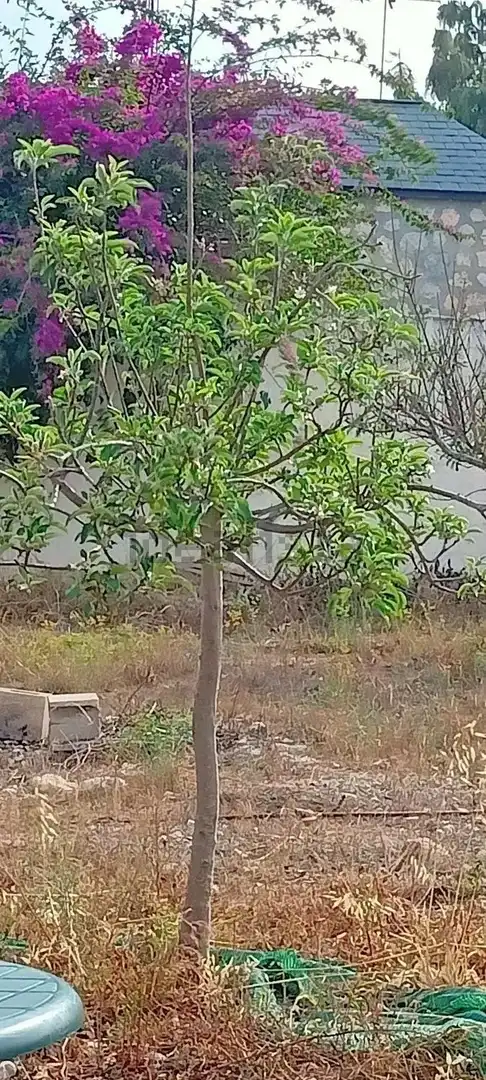 Terreno residenziale in vendita a La Huerta, imagen 6