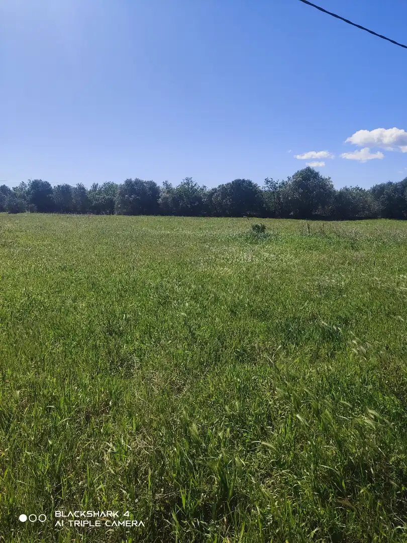 Rural land for sale in Alcossebre, imagen 3