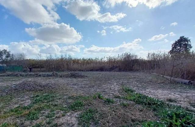 Terreno en Venta en Calle vereda de abajo en Carrascoy - La Murta