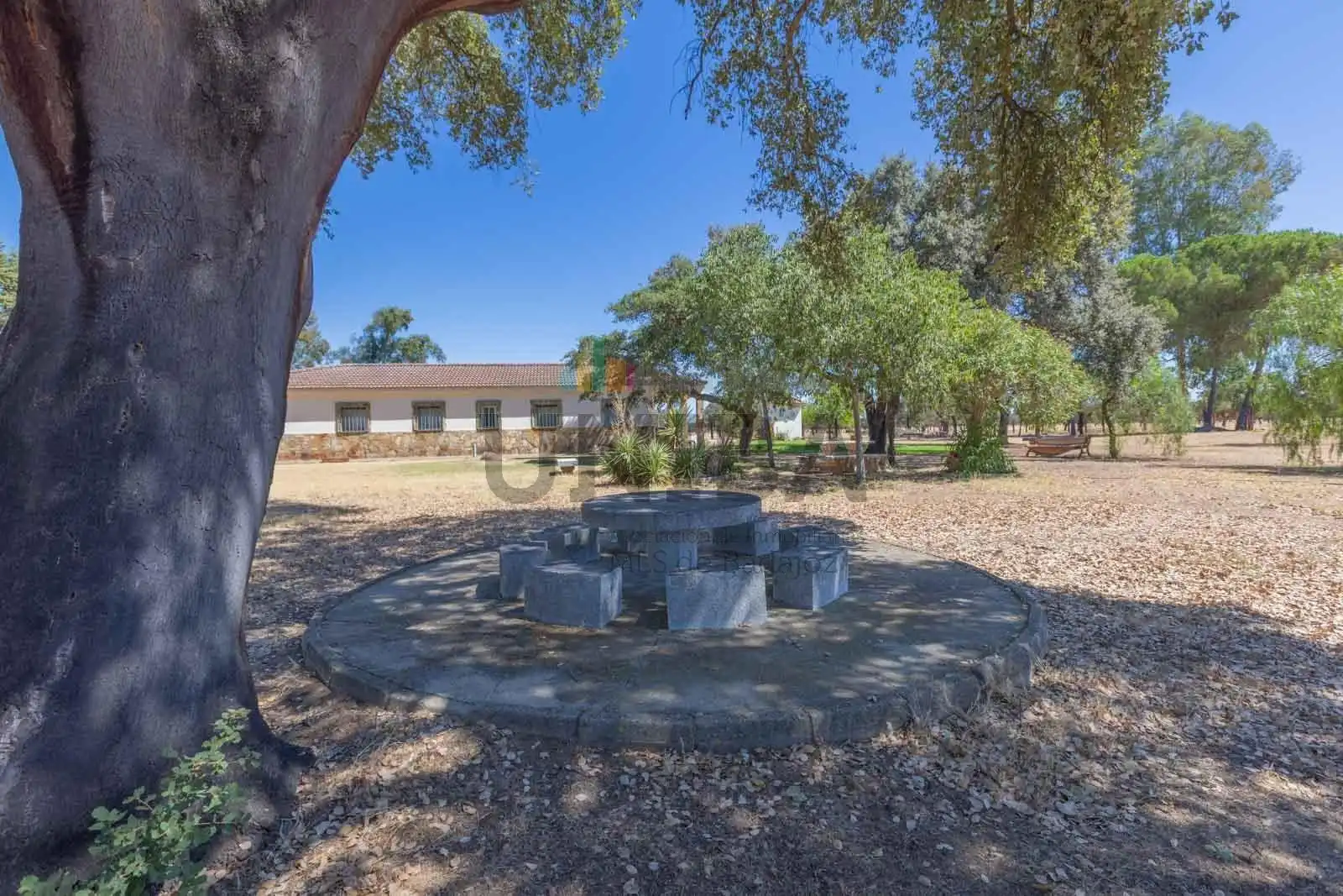 Chalet con piscina en venta en Pedanías de Badajoz, imagen 48