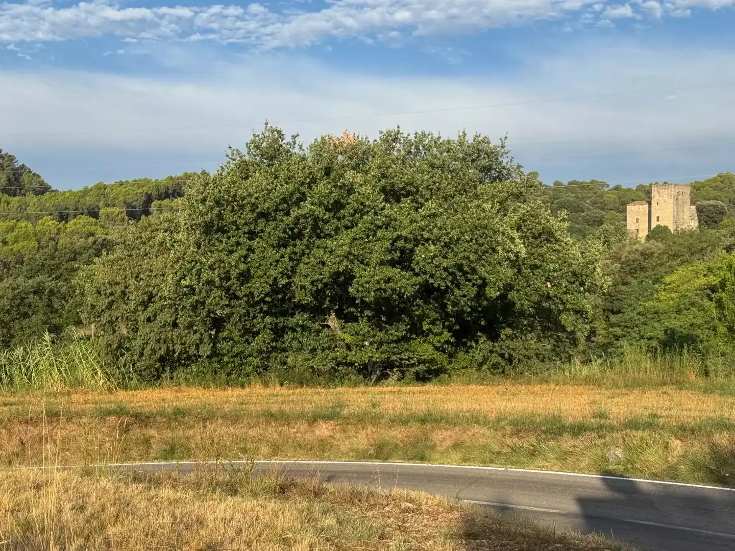 Terrain résidentiel à vendre à Beuda, imagen 5