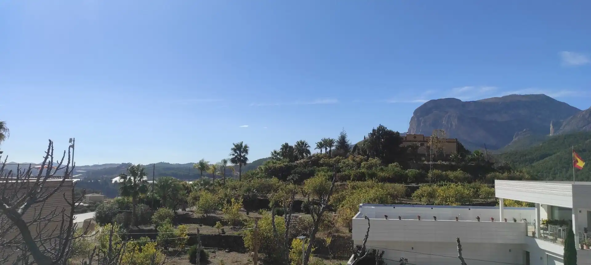 Garden of Residential for sale in Callosa d'en Sarrià