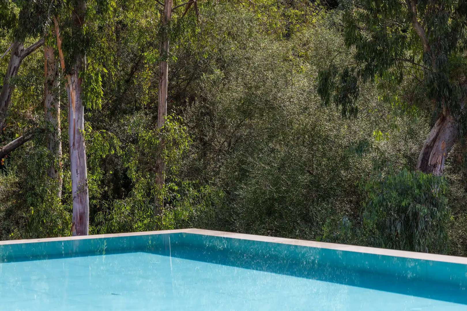 Maison avec terrasse à vendre à Sotogrande Alto, imagen 9