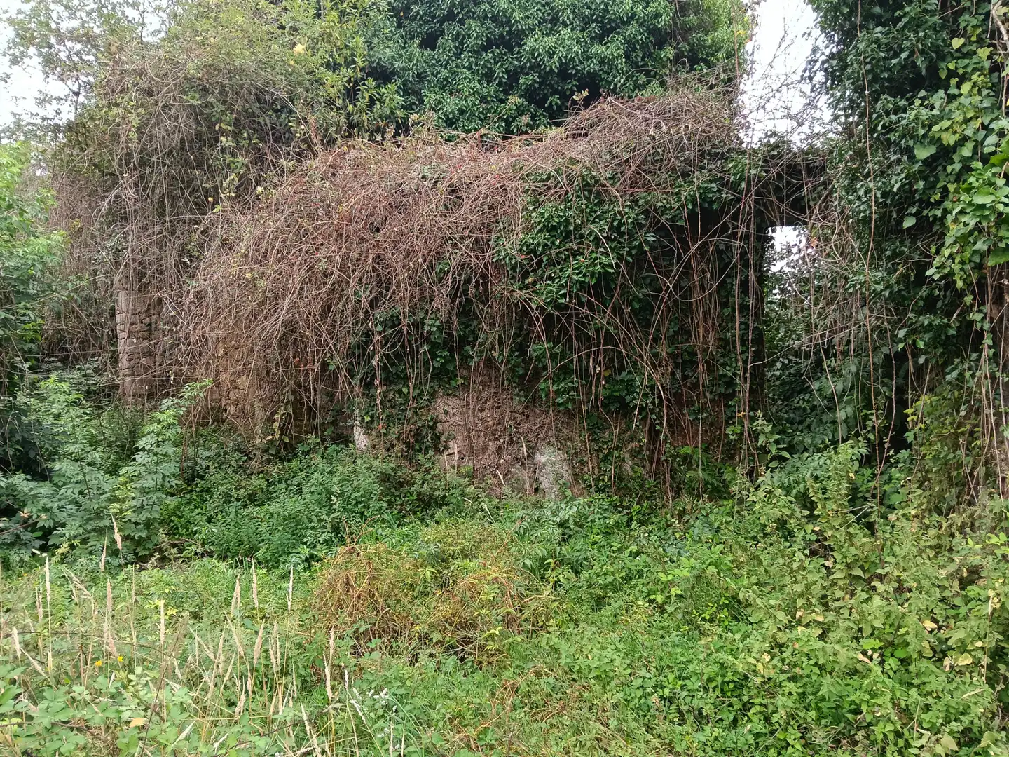 Maison avec jardin à vendre à Lugar Collantres 45, imagen 21