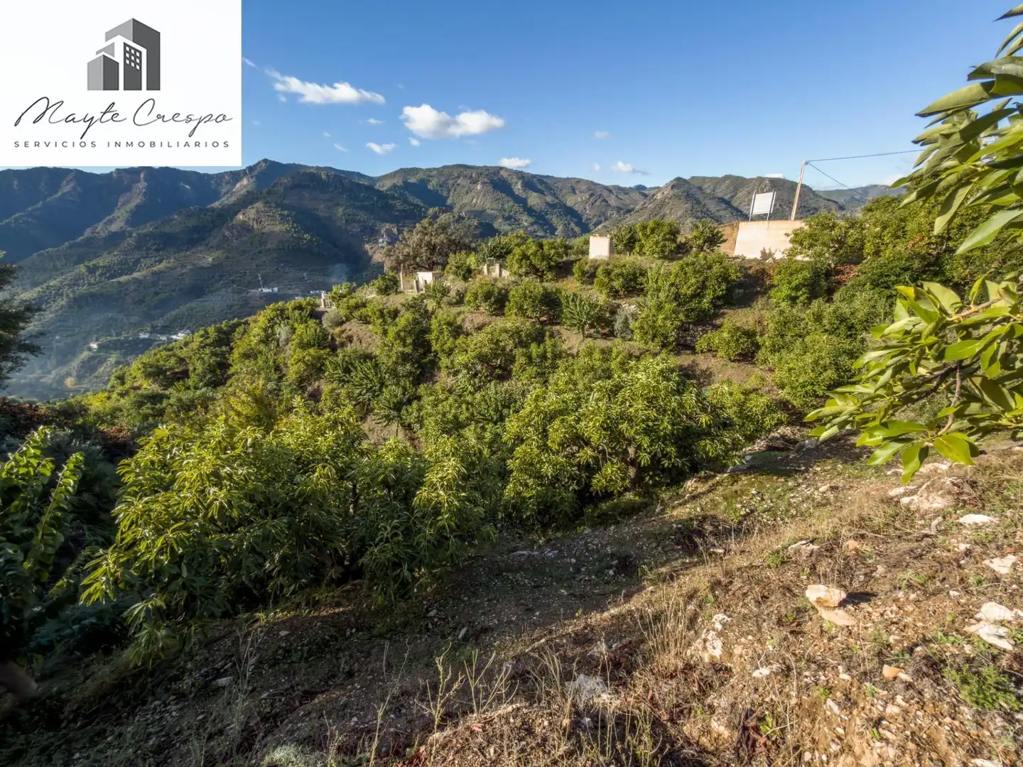 Casa rústica en venta en Calle Diseminados, Pol-8 Par-359, imagen 28