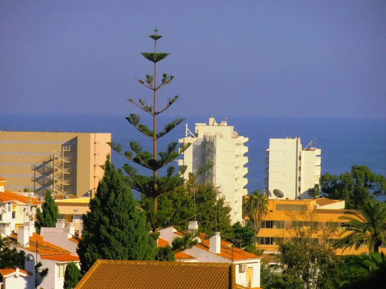 Apartamento con piscina en venta en Avenida Marysol, imagen 12