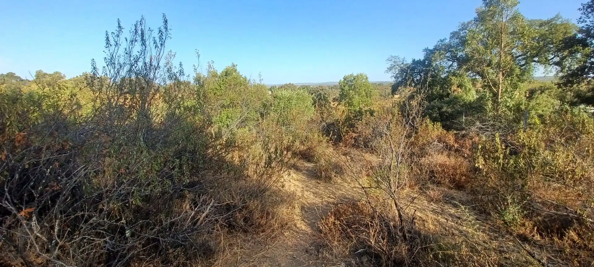 Terreni e lotti in vendita a Castilblanco de los Arroyos, imagen 6
