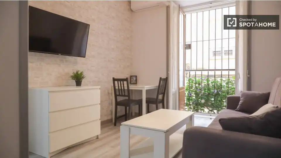 Appartamento con terrazza in affitto a Centro, imagen 3