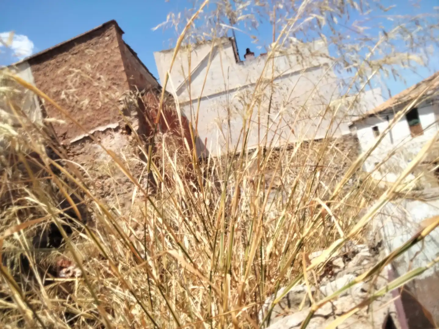 Jardí de Residencial en venda en Llíria