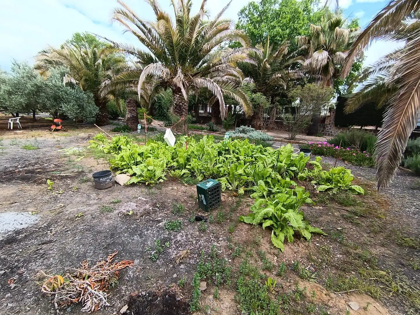 Casa o chalet en venta en Brazatortas con Aire acondicionado, Calefacción y Jardín privado