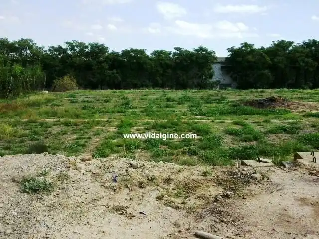Residential land for sale in Benavent de Segrià