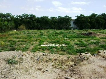 Terreno residencial en venta en Benavent de Segrià