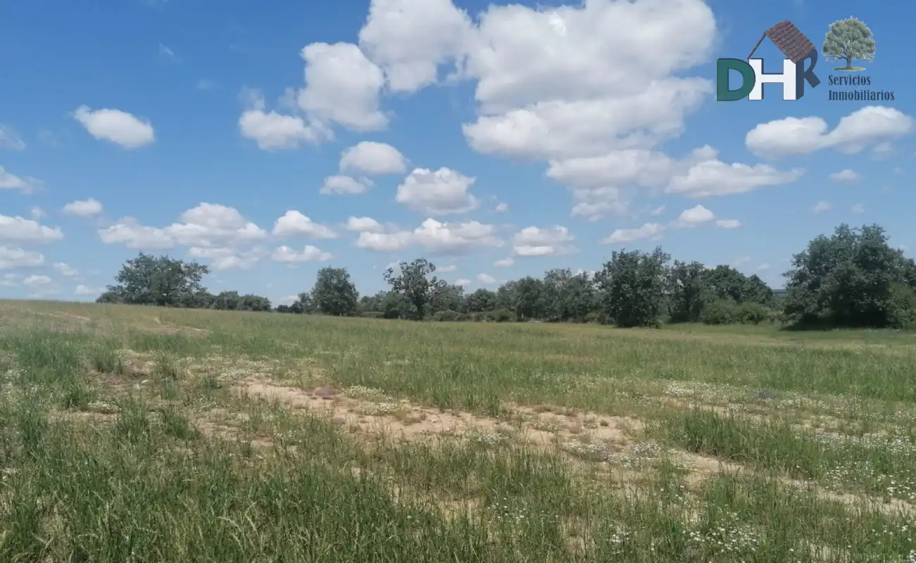 Lands and plots for sale in Barrio Blanco, imagen 3
