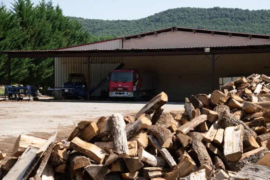 Außenansicht von Fabrikhallen zum Verkauf in Barrundia