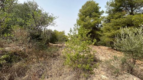 Terreno en venta en LAlcora, imagen 4