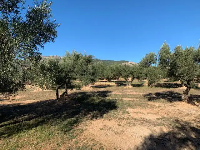 Landhaus zum Verkauf in Xerta, imagen 7