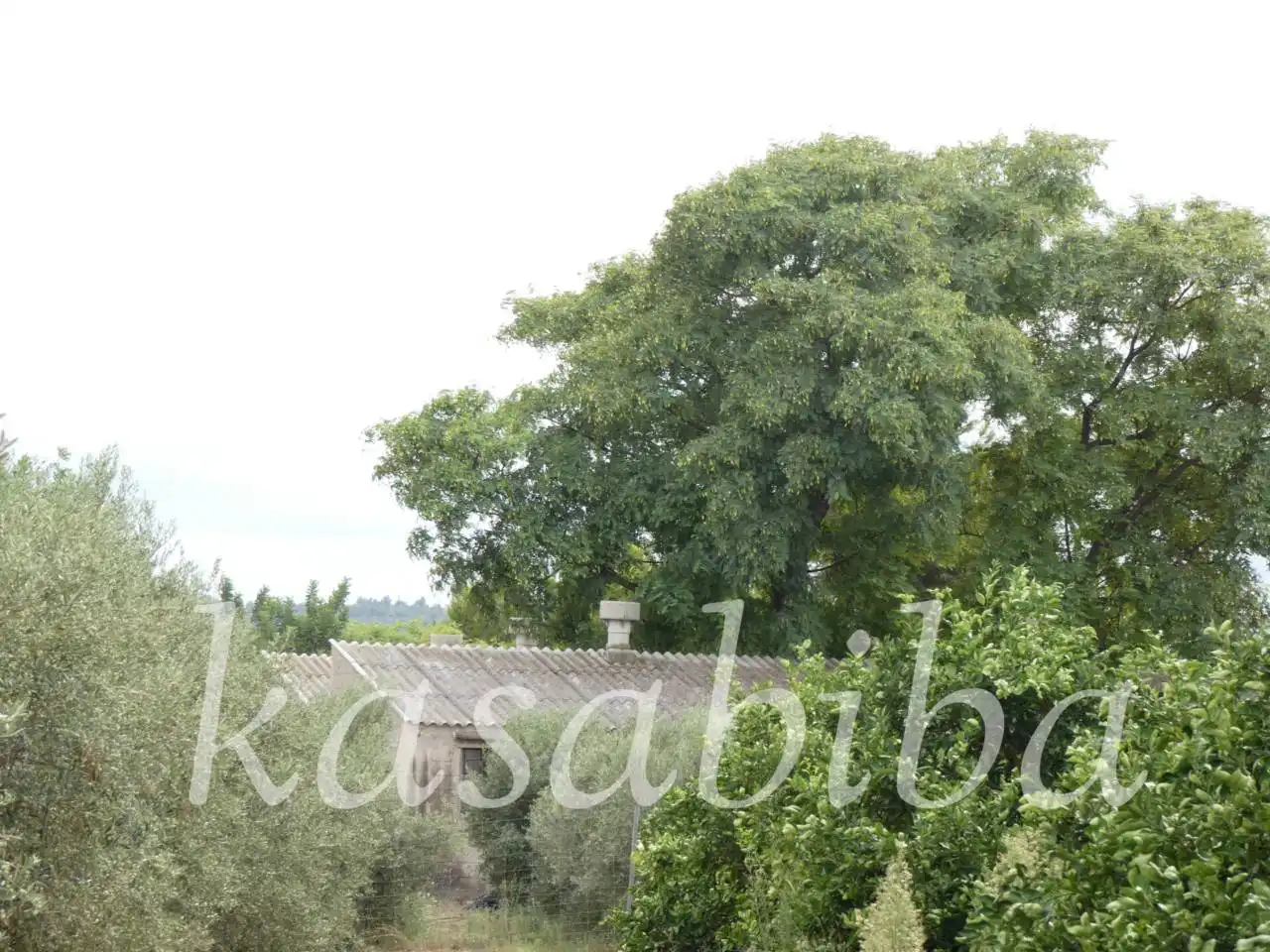 Grundstücke zum Verkauf in Pedralba