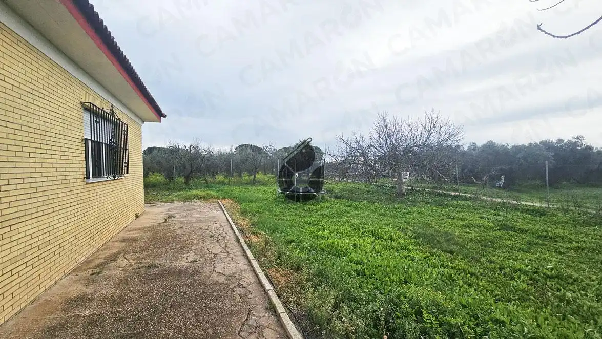 Landhaus zum Verkauf in La Puebla del Río, imagen 12