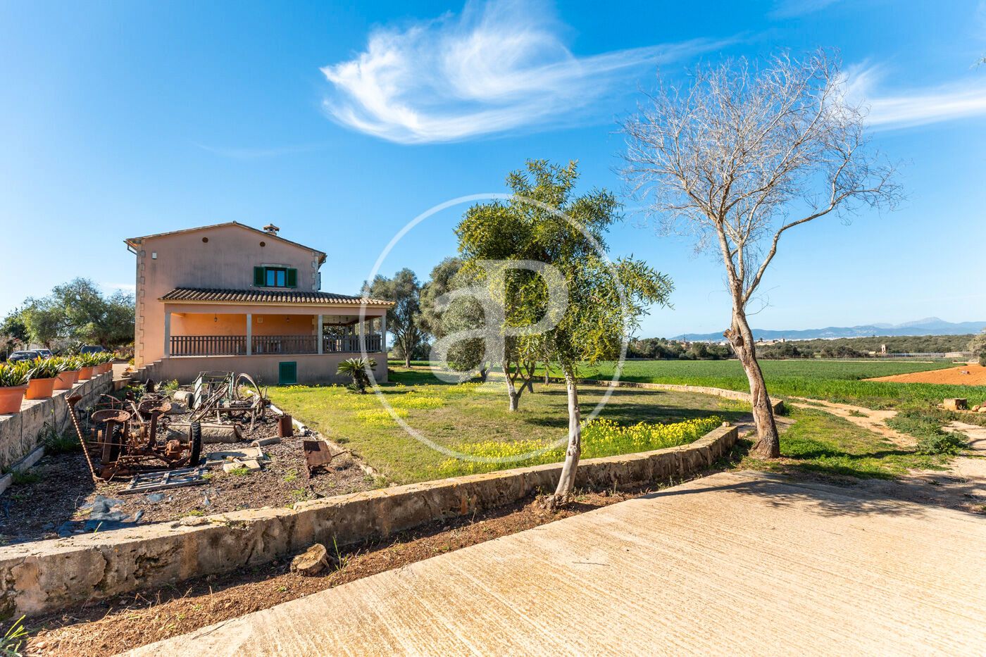 Vista exterior de Casa o chalet en venta en  Palma de Mallorca con Aire acondicionado, Calefacción y Jardín privado
