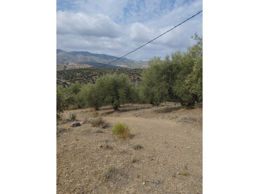 House or chalet for sale in Riogordo