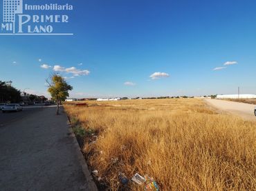Terreni e lotti in vendita a Tomelloso