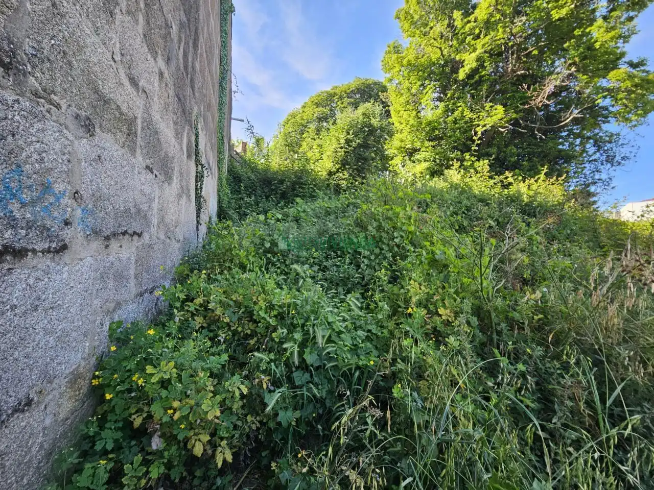 Maison avec jardin à vendre à Centro Urbano, imagen 31