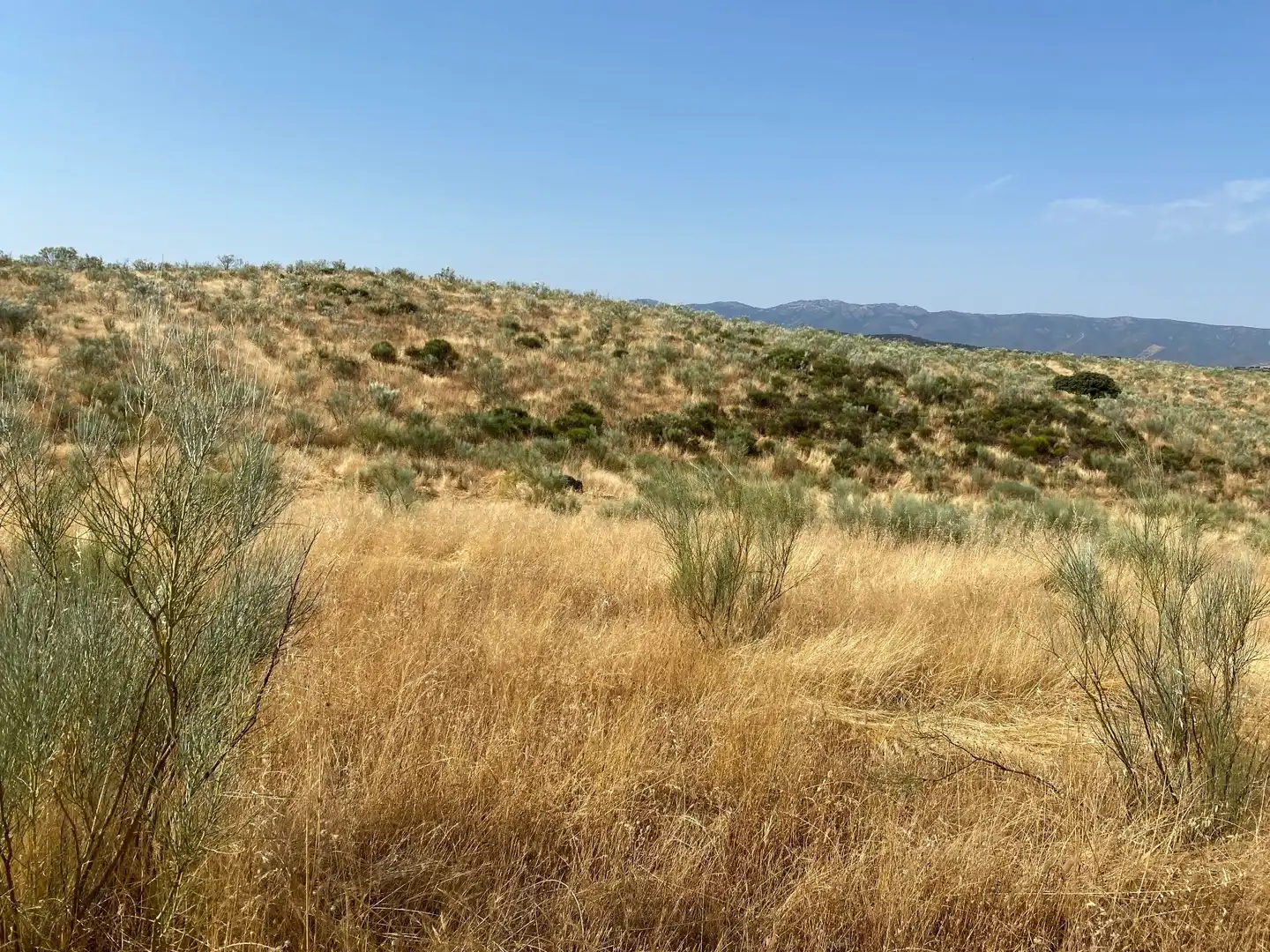 Grundstücke zum Verkauf in Aldeanueva de San Bartolomé