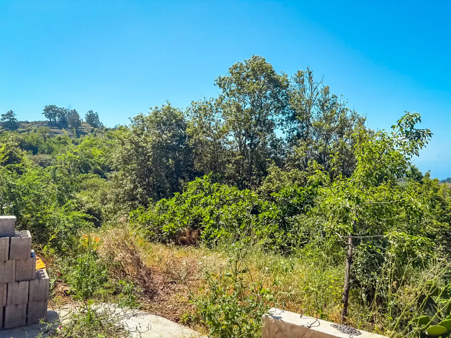 Casa o chalet en venta en Valleseco