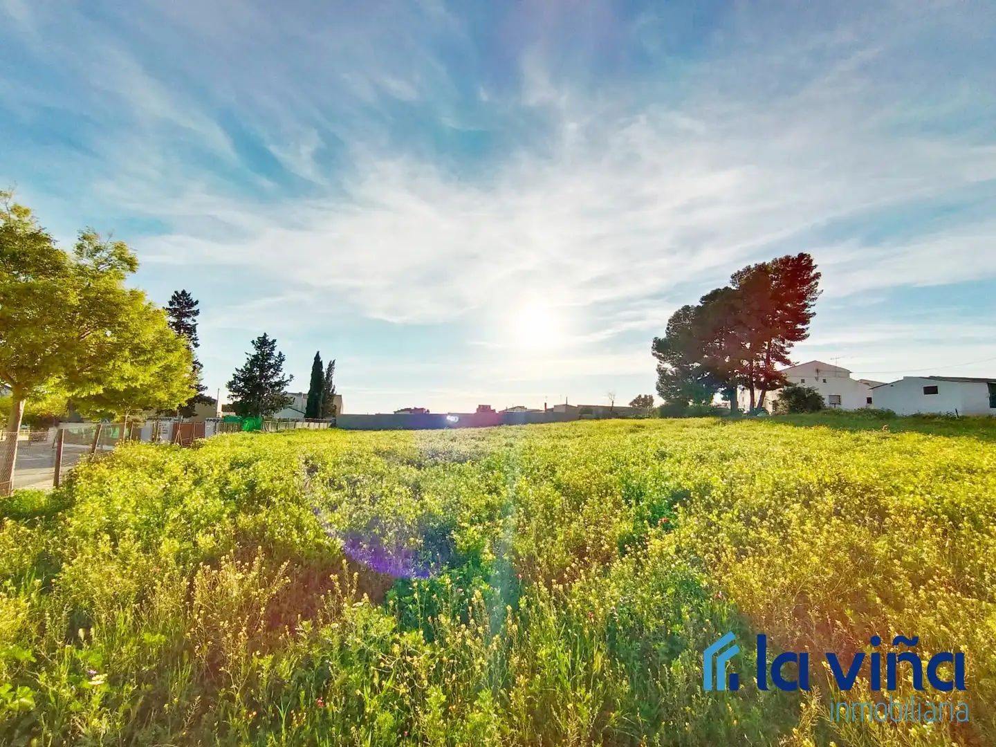 Rural land for sale in Mollina, imagen 3
