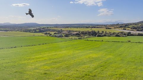 Parcela perfecta con proyecto para construir la casa de sus sueños en venta en Manacor, Mallorca