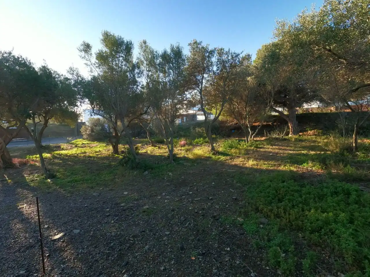 Rural land for sale in Calle GREGAL, imagen 3