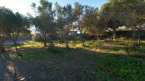 Terreno en venta en playa del Ros Cadaqués, immagine 3