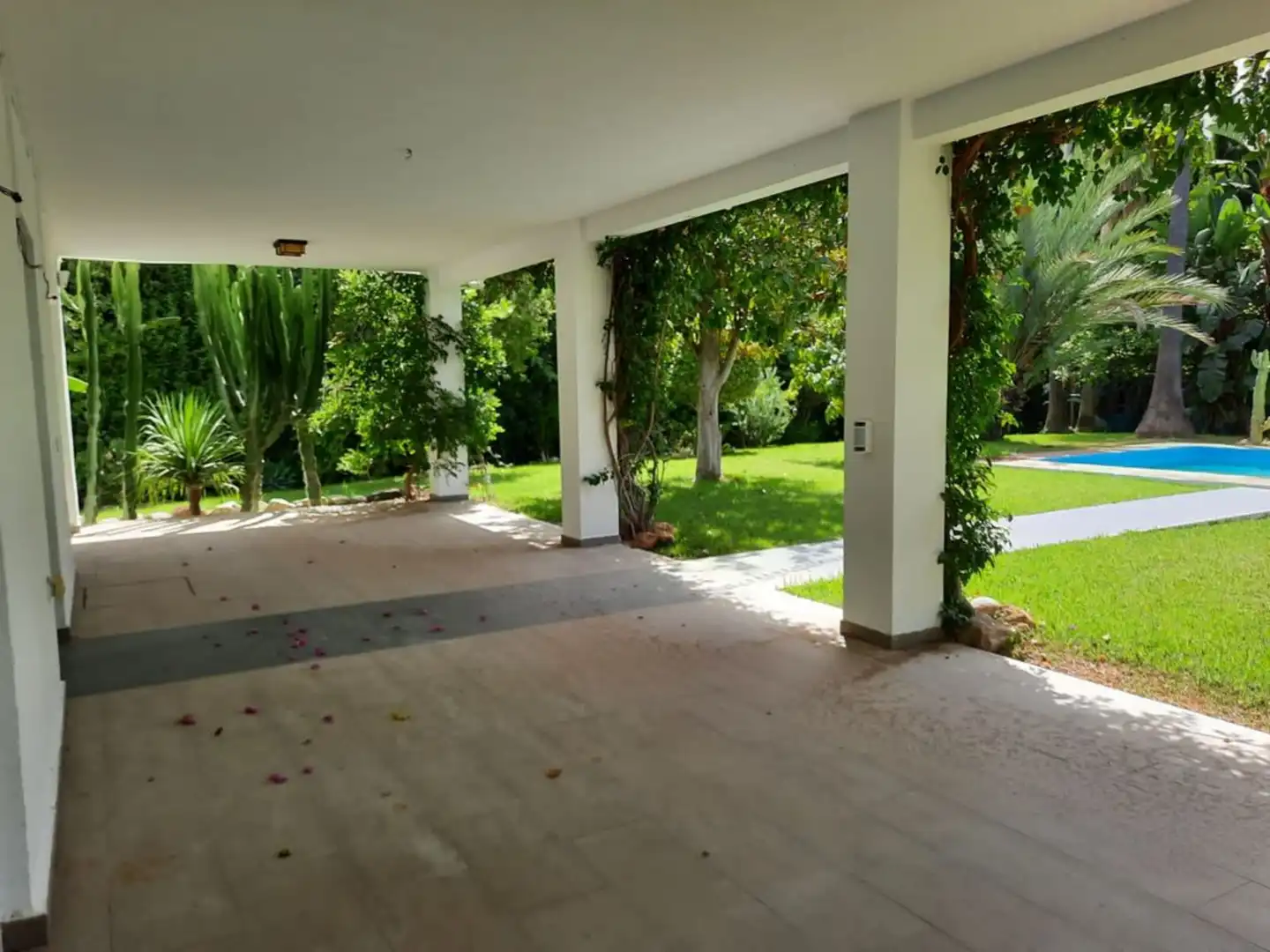 Jardí de Casa o xalet de lloguer en Marbella