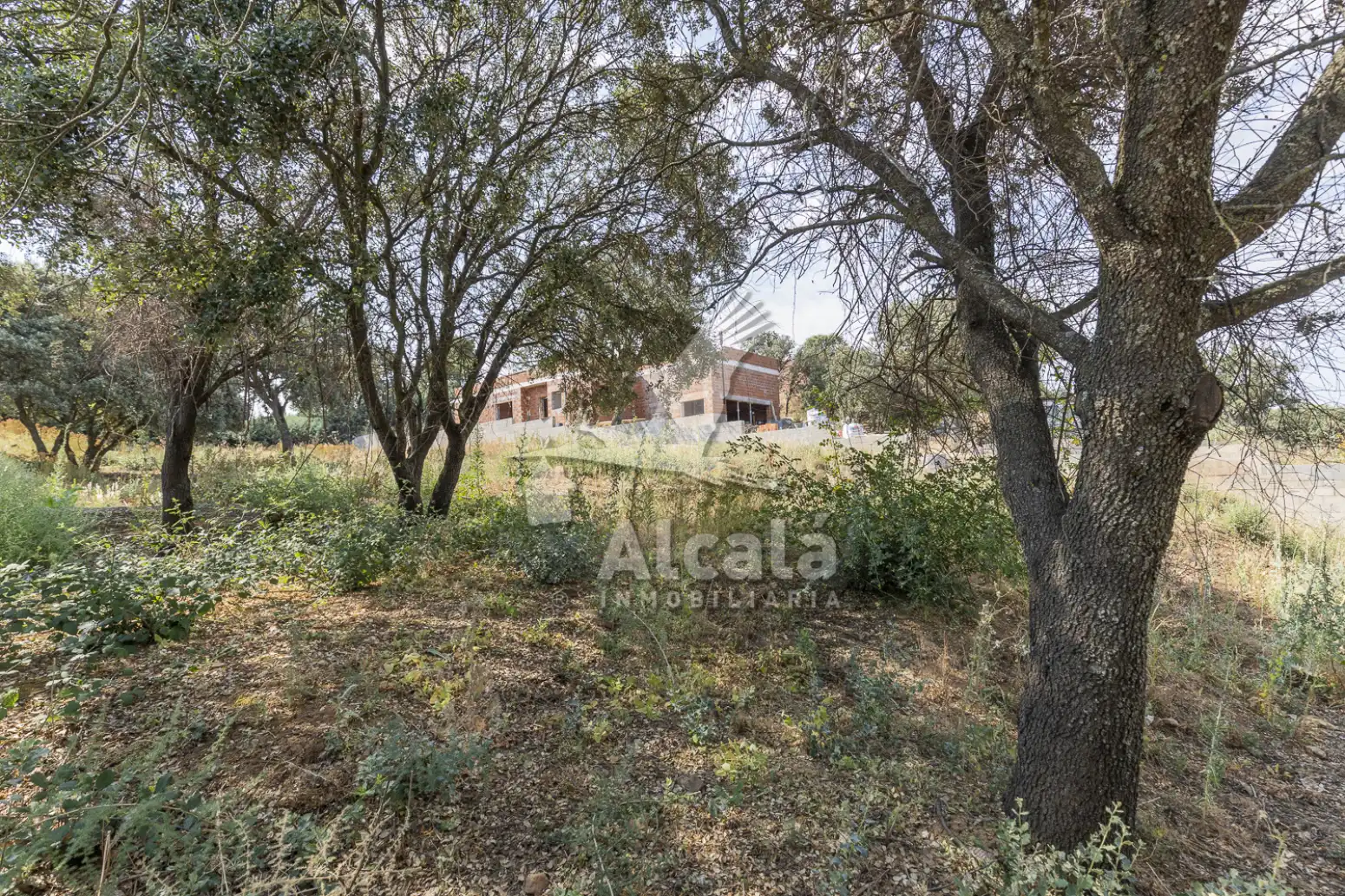 Terreny rústic en venda a Valdeaveruelo, imagen 47