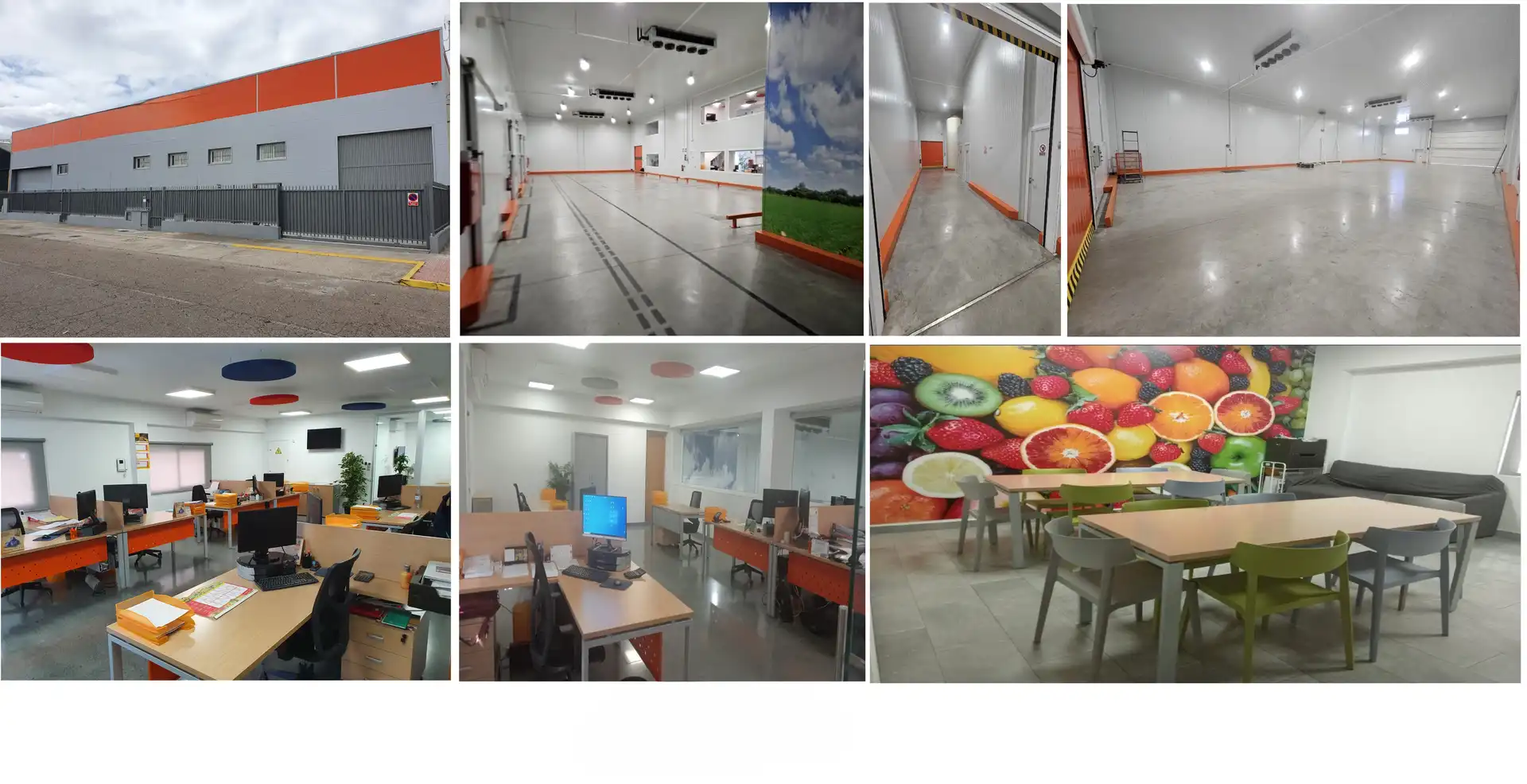 Industrial building for sale in La Motilla - Fuente del Rey, imagen 3