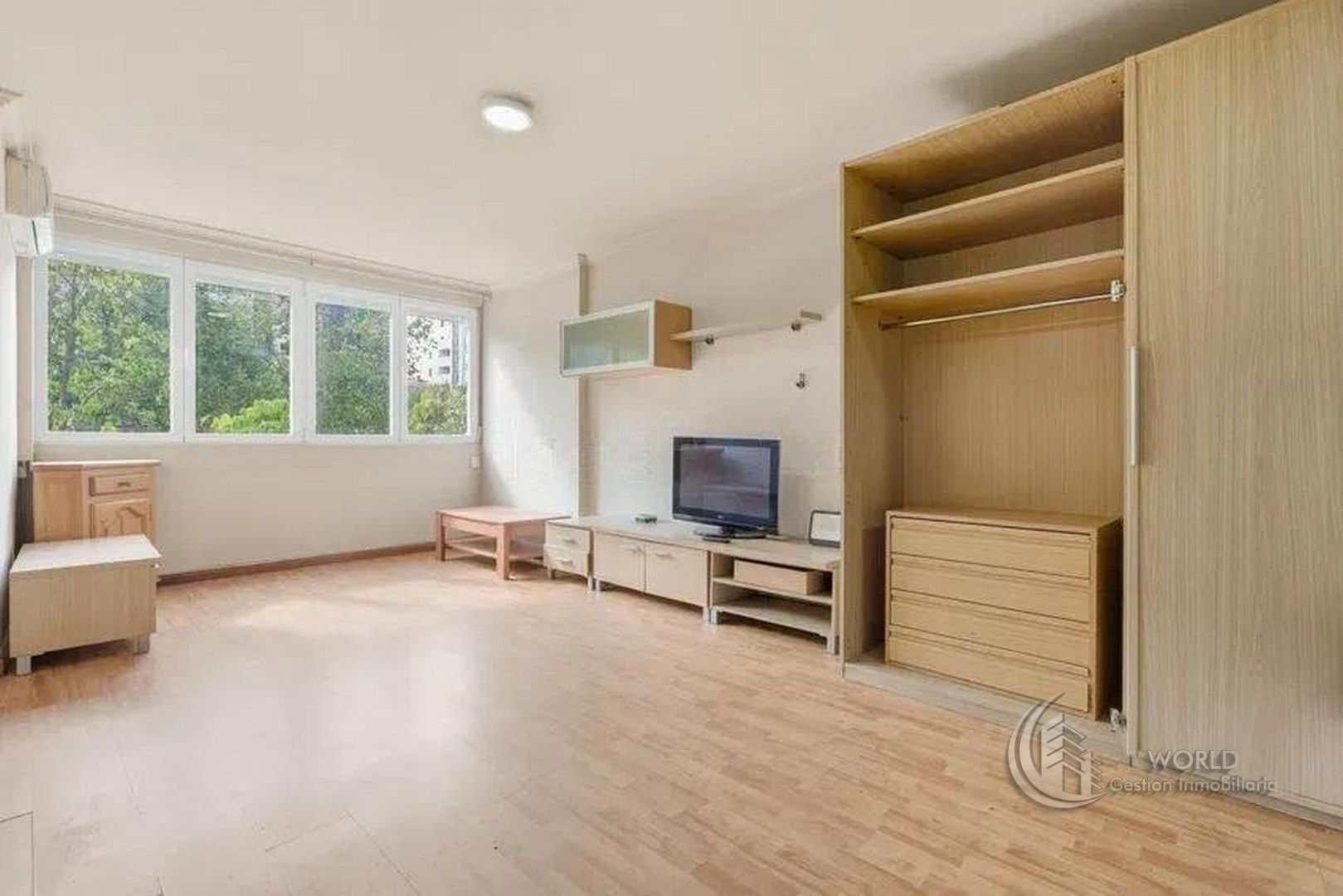 Living room of Flat for sale in  Madrid Capital  with Air Conditioner, Heating and Furnished