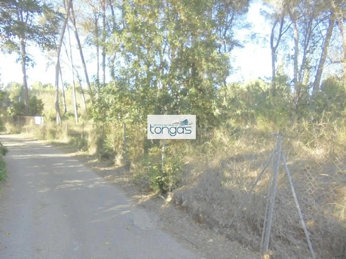 Terreno residencial en venta en El Genovés, imagen 7